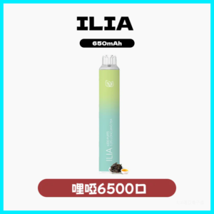 ILIA哩啞電子煙 BAR4四代一次性抛棄式 6500口【23種風味】